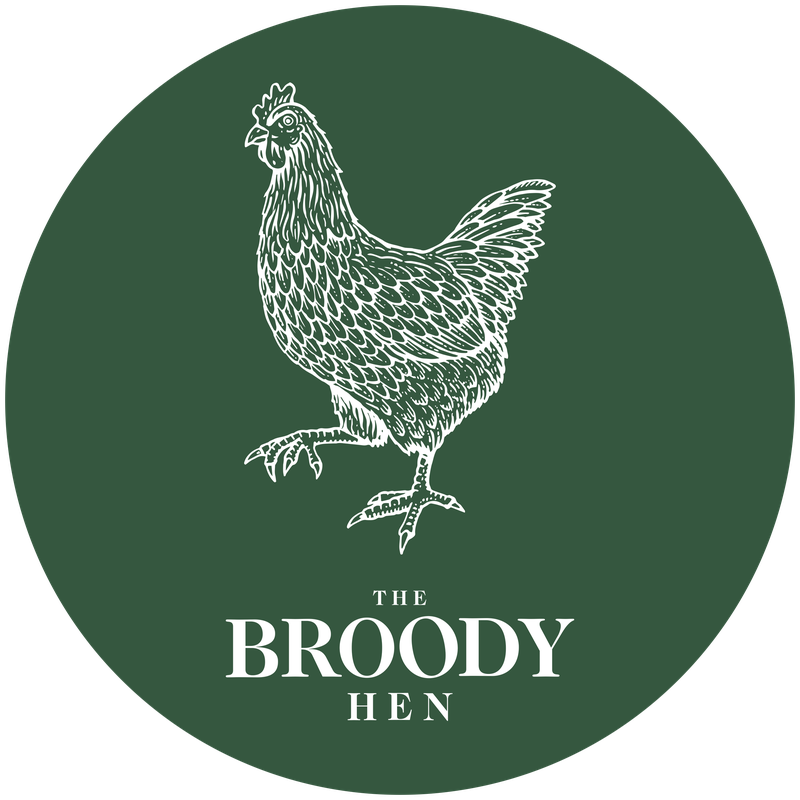 The Broody Hen